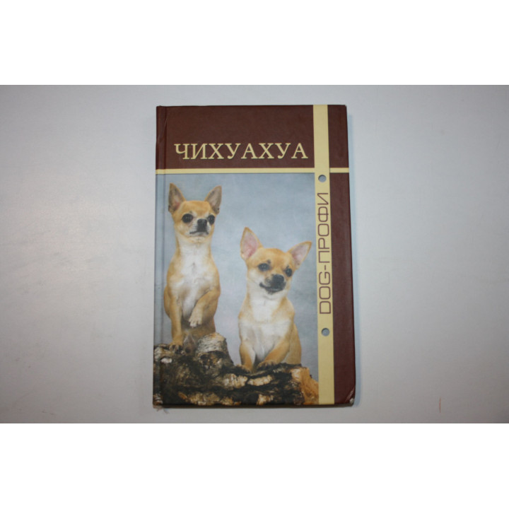 Чихуахуа. Моисеева Л., Ришина Н., Бельтюкова В. 2012 г.