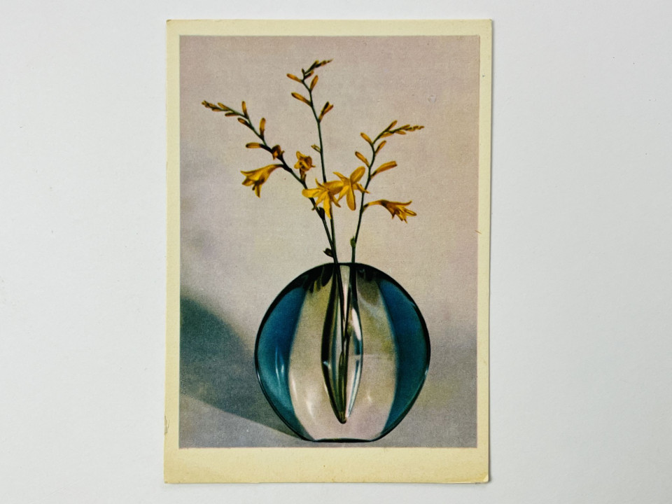 Ваза с желтыми цветами. Открытка. Чистая. 1965