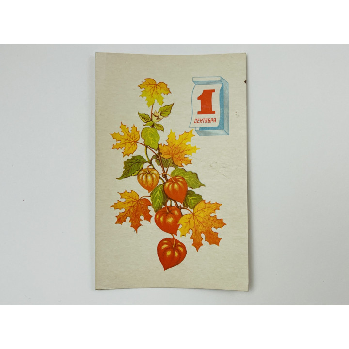 1 сентября. Листья клена. 1971. Открытка. Чистая 1971