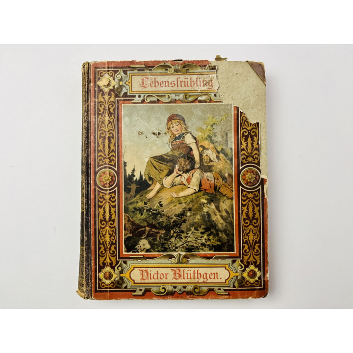 Lebensfruhling. Erzahlungen fur die Jugend (Весна жизни. Рассказы для молодежи). Блутген В. 1885