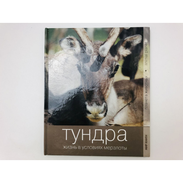 Тундра. Жизнь в условиях мерзлоты. 2009 г.