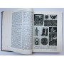 Большая Советская Энциклопедия. Том 29. Н - Николаев. 1954 г.