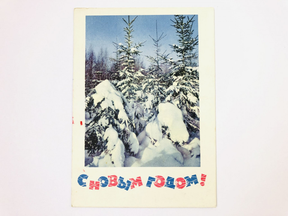 С Новым годом! Зимний лес. Открытка. Подписанная. 1966