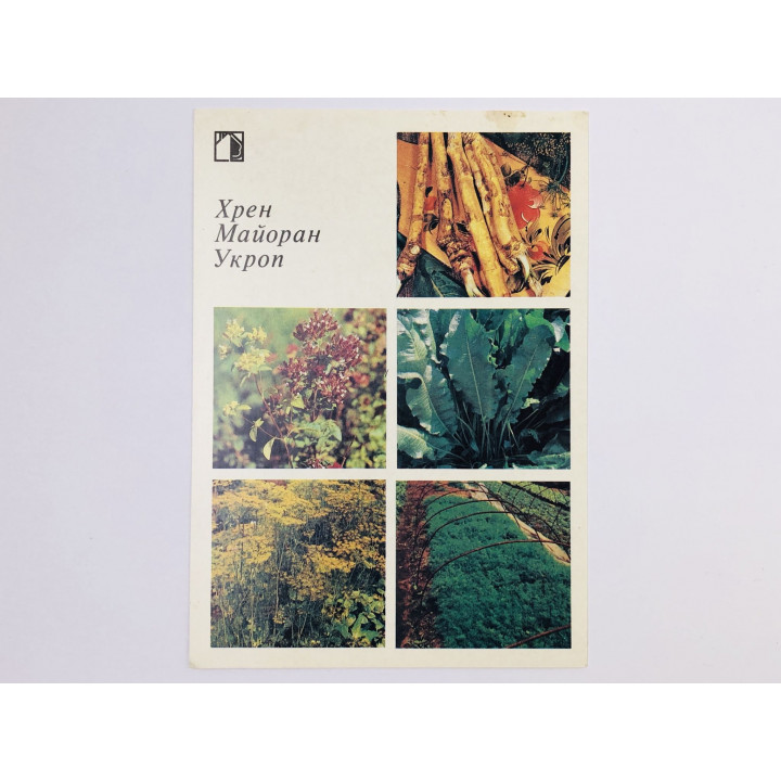 Хрен. Майоран. Укроп. Открытка. 1986. Планета