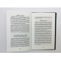 Книга Рун: руководство по пользованию древним Оракулом. Руны викингов. Блюм Ральф. 2010 г.