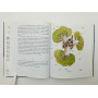 The Little Prince [Маленький принц]. Сент-Экзюпери Антуан де. 2000 г.