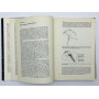 Neurosen — Ursachen und Heilmethoden [Неврозы: причины и методы лечения]. Айзенк Г., Рачман С. 1970
