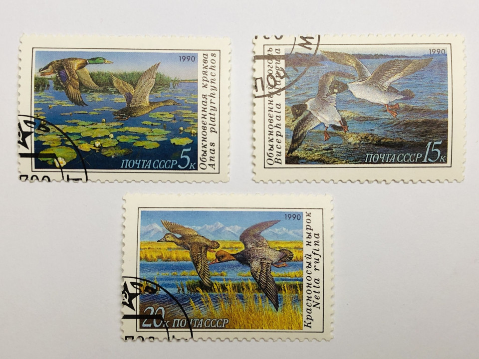 Птицы. Утки. Полная серия. Фауна. СССР. 1990. Mi: SU 6099-6101. Гашен