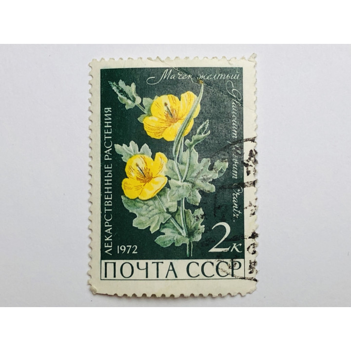 Лекарственные растения. Мачек желтый. 2 коп. Флора. СССР. 1972. Mi: SU 3988. Гашен