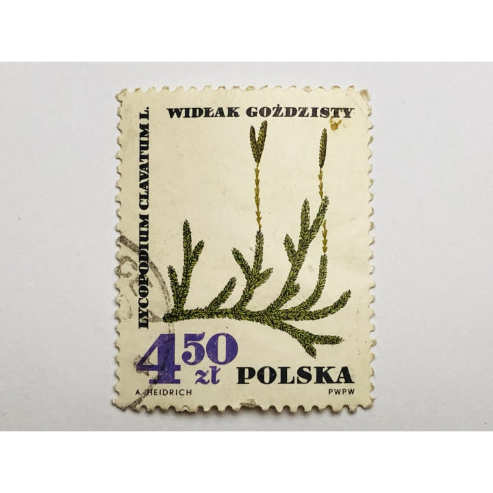 Лекарственные растения. 4.50 злотых. Флора. Польша. 1967. Mi: PL 1773. Гашен