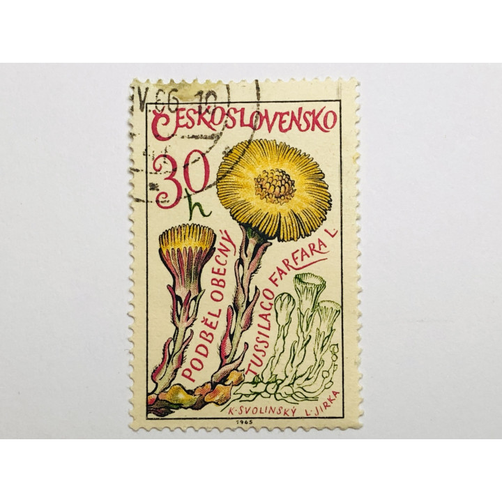 Лекарственные растения. Мать-и-мачеха. 30 геллер. Флора. Чехословакия. 1965. Mi: CS 1583. Гашен