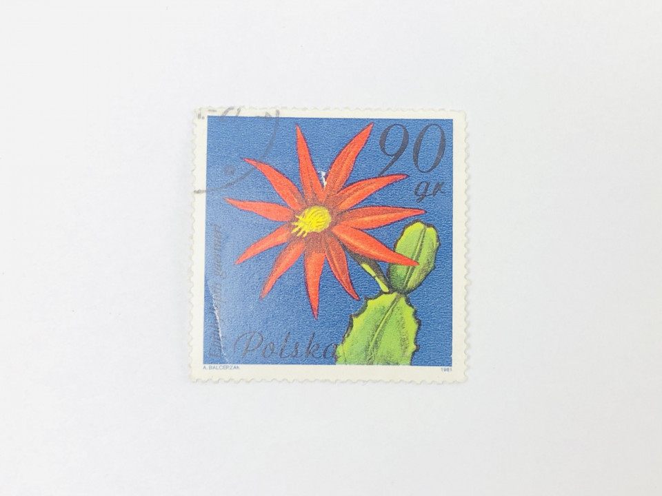 Цветущие суккуленты. Хатиора Гартнера. Флора. Польша. 1981. Михель: PL 2784. Гашен