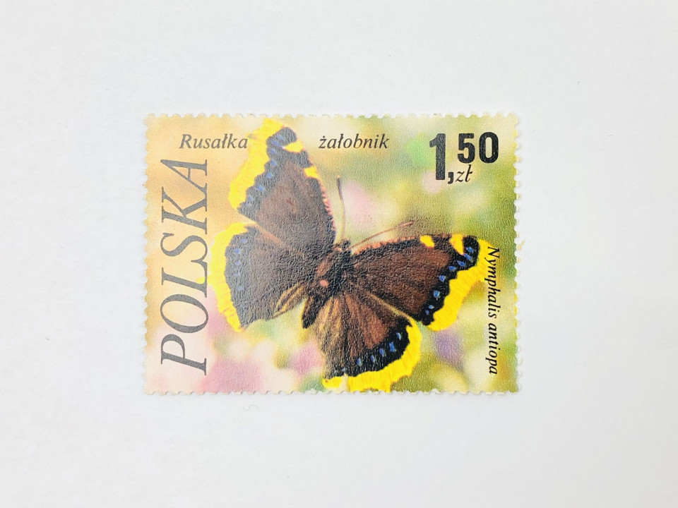 Бабочки. Траурница. Фауна. Польша. 1977. Михель: PL 2519. Чист **. MNH