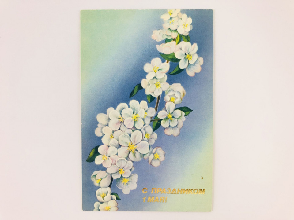 С праздником 1 мая. Открытка. Двойная. Чистая. Панкин В. 1988 г.
