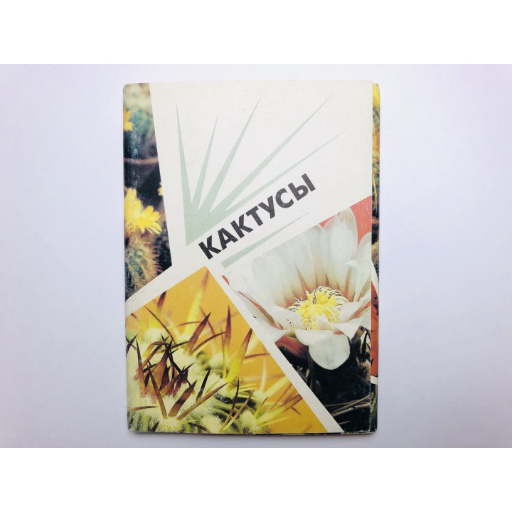 Кактусы. Выпуск 2. Набор открыток. Комплект из 18 штук. Полный. 1990 г.